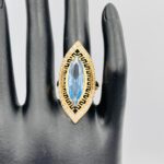 Anillo lanzadera azul grande